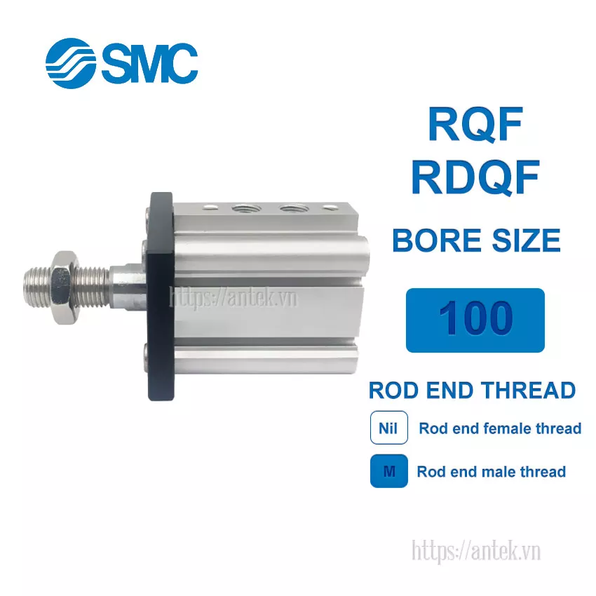 RDQF100-100M Xi lanh SMC