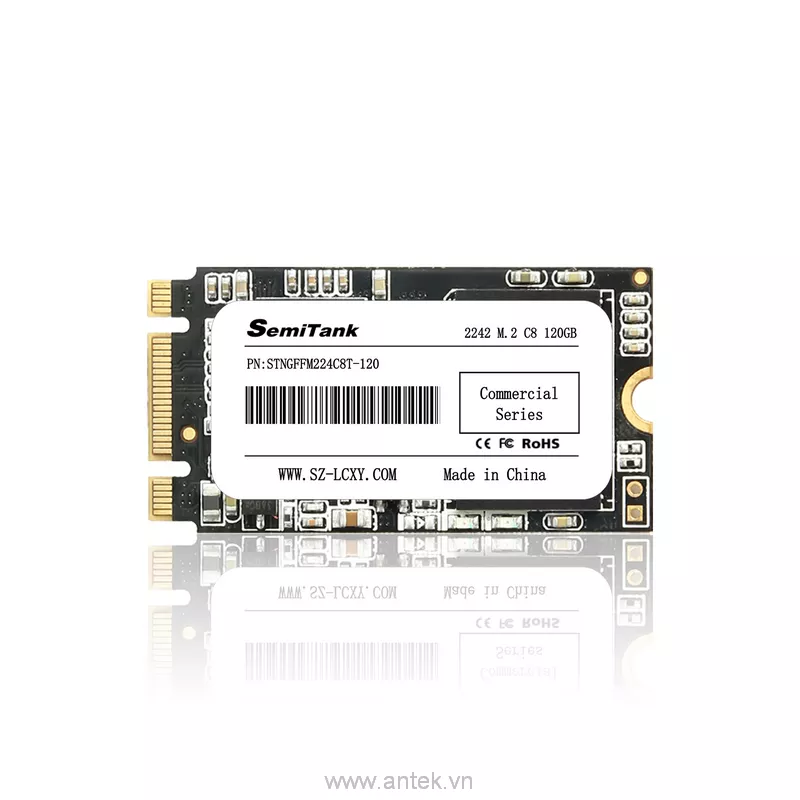 Ổ cứng SSD M.2 120GB SATA III 6Gbps 550/500 MBps PN STNGFFM224C8T-120