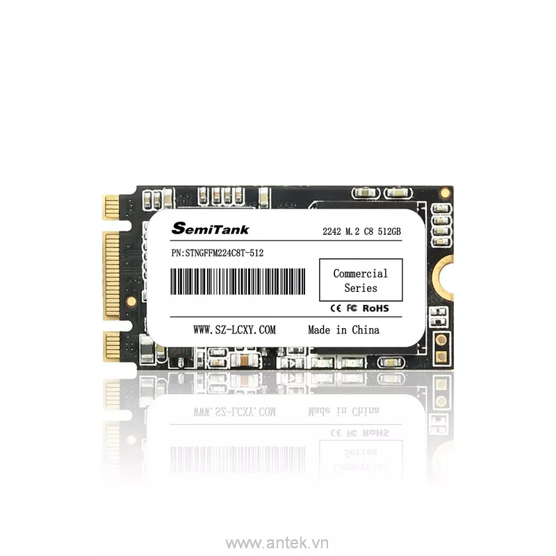 Ổ cứng SSD M.2 512GB SATA III 6Gbps 550/500 MBps PN STNGFFM224C8T-512