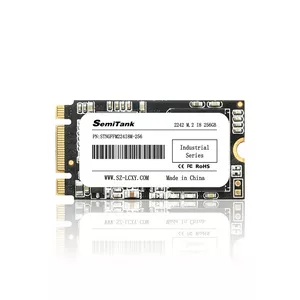 Ổ cứng SSD M.2 256GB SATA III 6Gbps 550/500 MBps PN STNGFFM224I8M-256