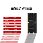 Bộ nhớ trong Ram A-Ray 16GB DDR4 Bus 2133 Mhz Laptop C800 17000 MB/s P/N: AR21D4N12C816G