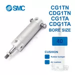 CG1TN40-300Z Xi lanh SMC