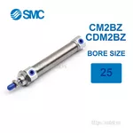 CM2BZ25-75Z Xi lanh SMC