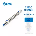 CM2C20-300Z Xi lanh SMC