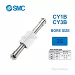 CY3B25-900 Xi lanh SMC